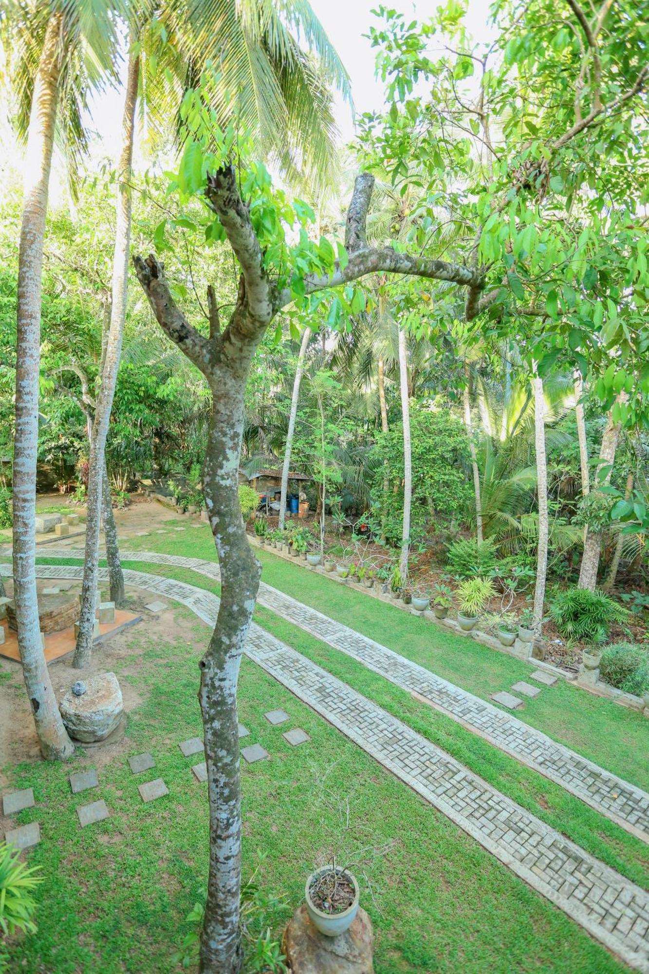 Villa Sada Diya Eco Resort Hikkaduwa Luaran gambar